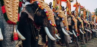 Most Adventurous Activities in Chennai, India