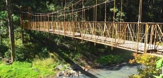 Most popular Winter Honeymoon Destinations in India For a Perfect Romantic Trip