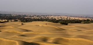 Thar Desert, Jaisalmer: India’s Golden Sands Rivaling the Sahara Desert