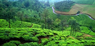  Vagamon The Tranquil Escape You Didn't Noticed Because of Ooty